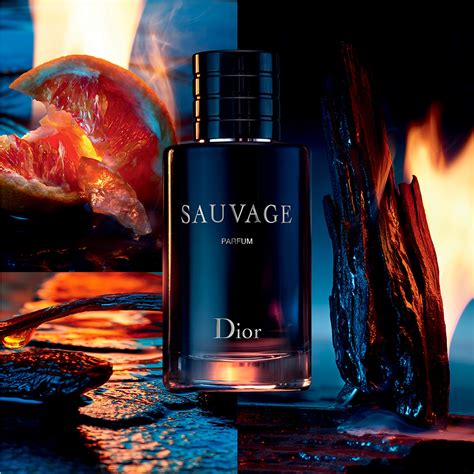 dior maroc site officiel